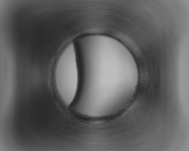 X0000102410208200808011023