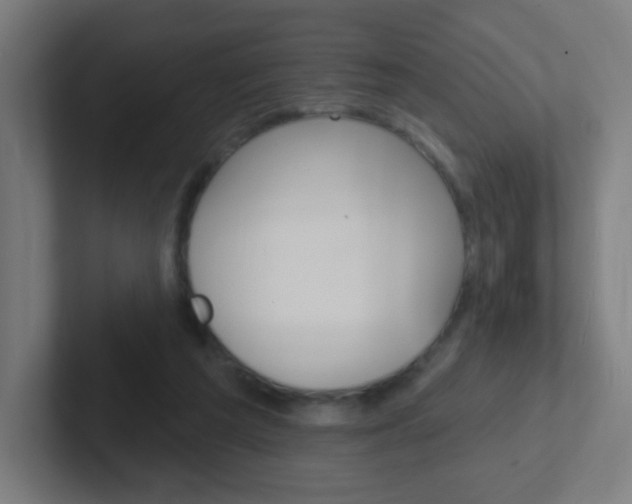 X0000102410209200808011023