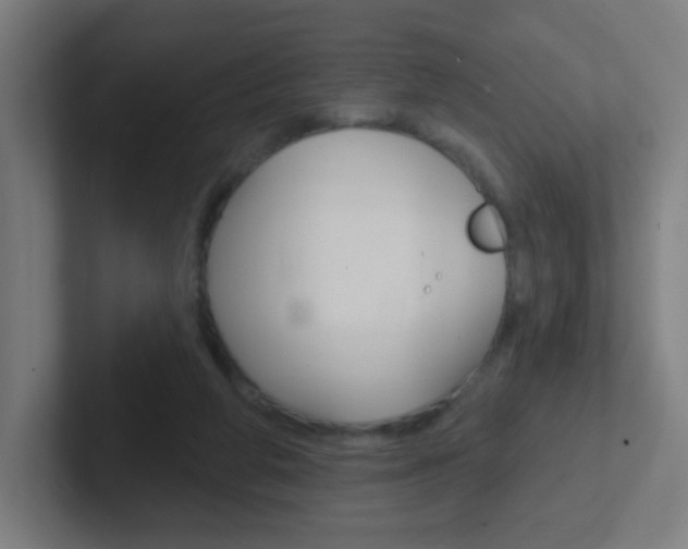 X0000102410210200808011023