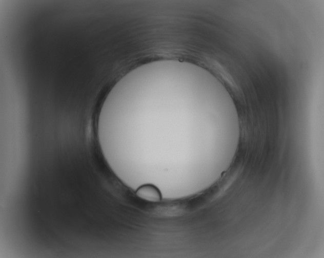 X0000102410213200808011023