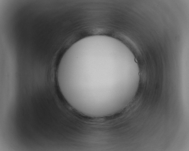 X0000102410214200808011023
