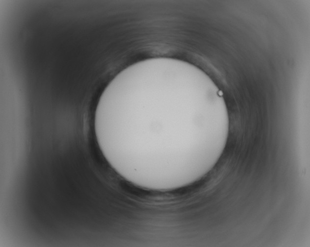 X0000102410215200808011023