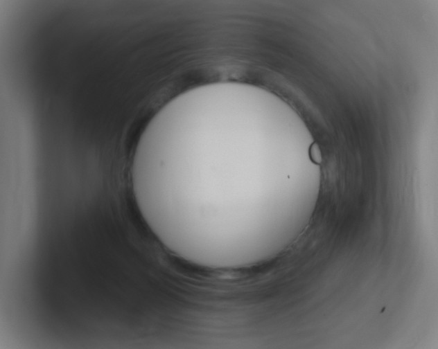 X0000102410218200808011023