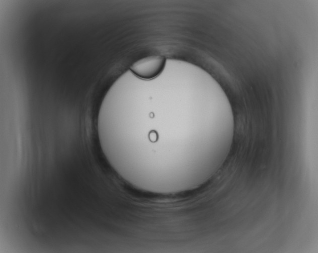 X0000102410220200808011023
