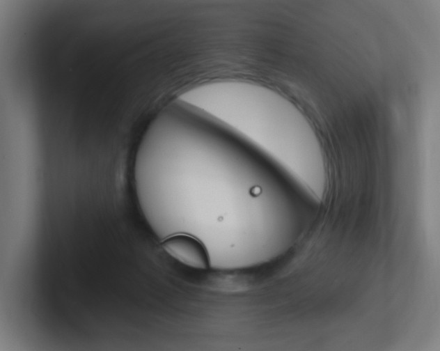 X0000102410221200808011023