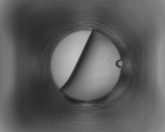 X0000102410224200808011023