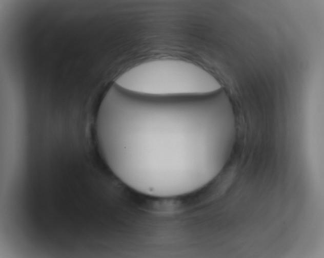 X0000102410225200808011023