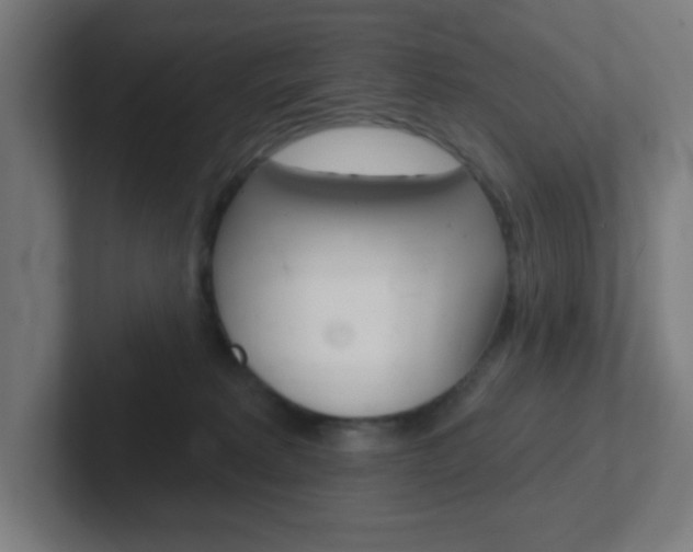 X0000102410229200808011022