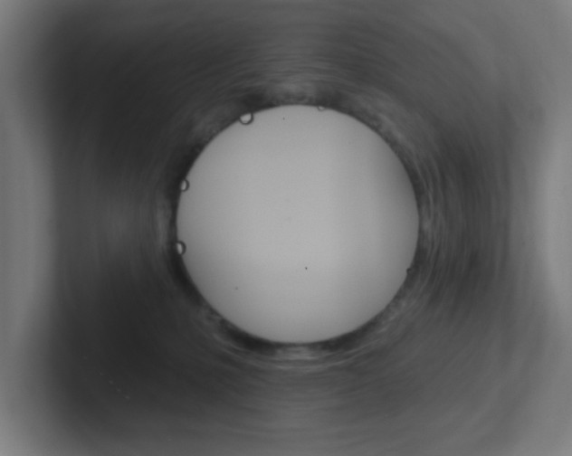X0000102410231200808011022