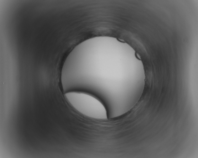 X0000102410232200808011022