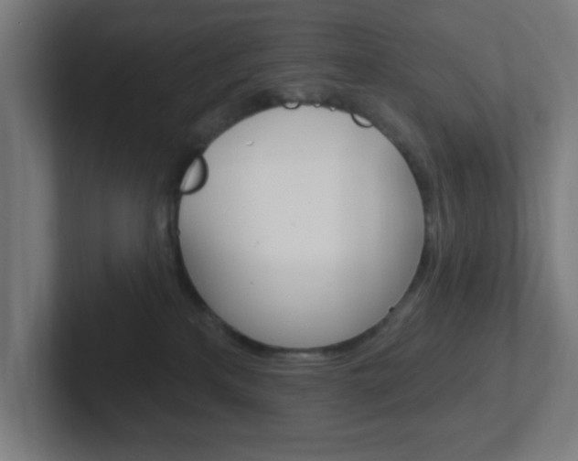 X0000102410233200808011022