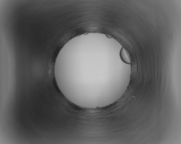 X0000102410234200808011022