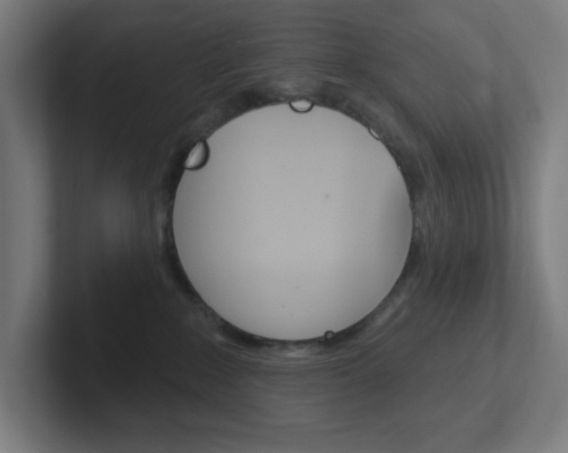 X0000102410235200808011022