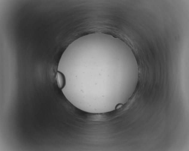 X0000102410237200808011022