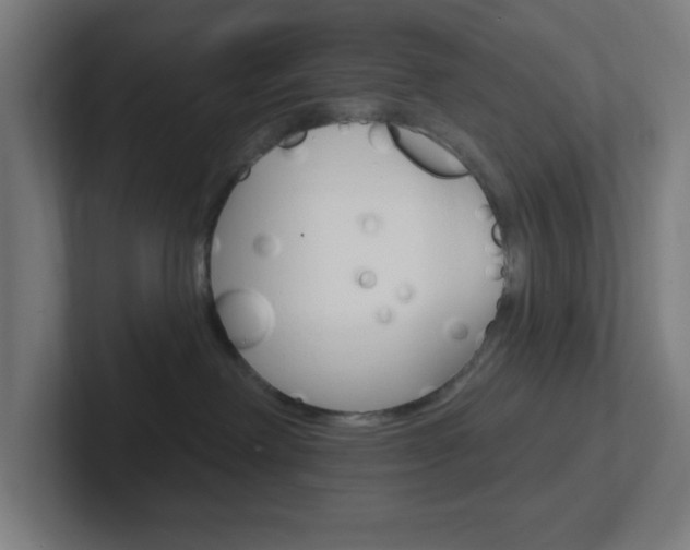 X0000102410238200808011022