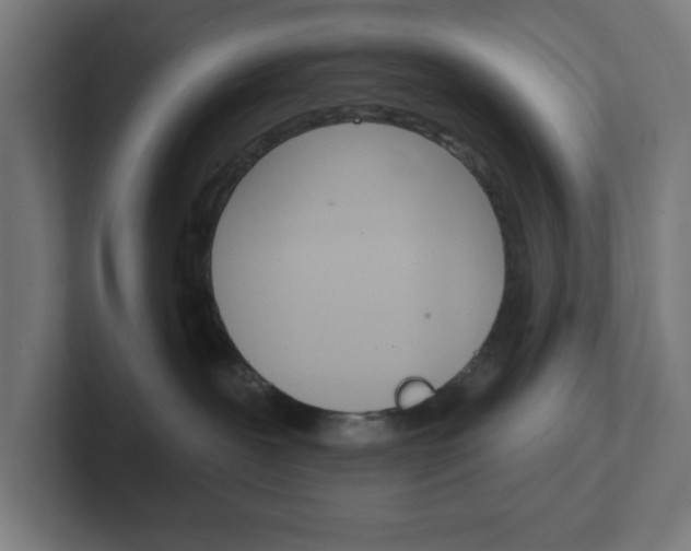 X0000102410239200808011022