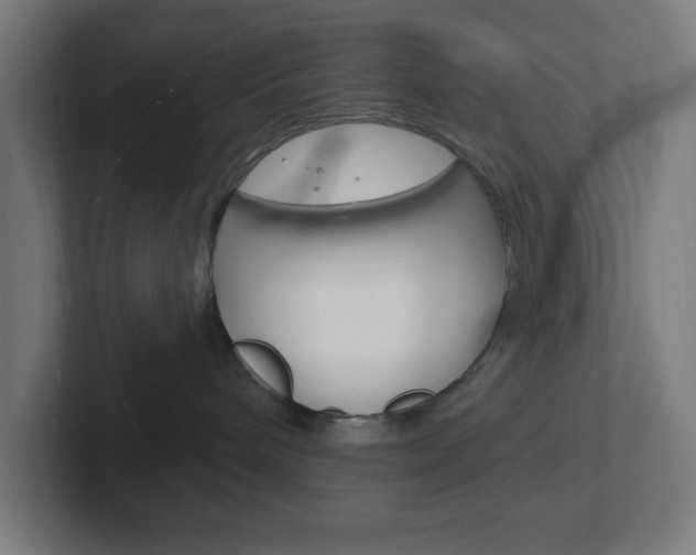 X0000102410240200808011022