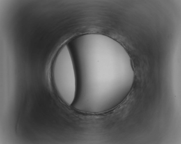 X0000102410242200808011022