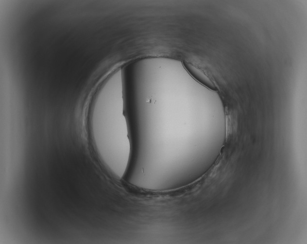 X0000102410243200808011022