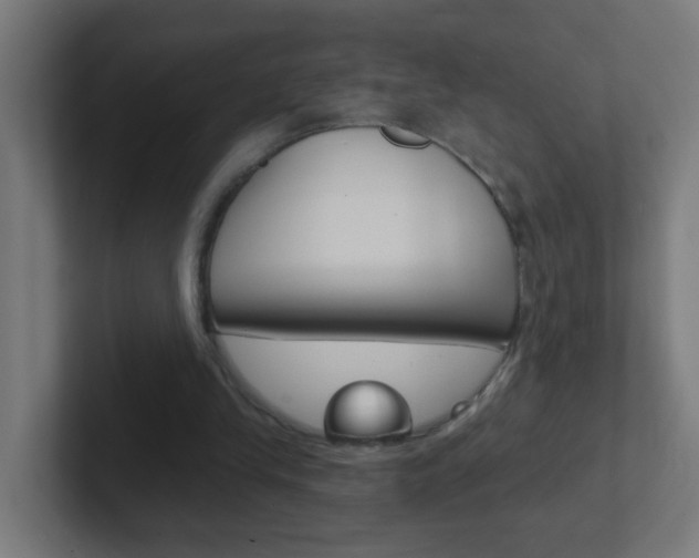 X0000102410245200808011022