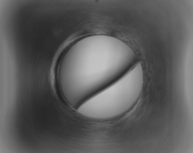 X0000102410246200808011022