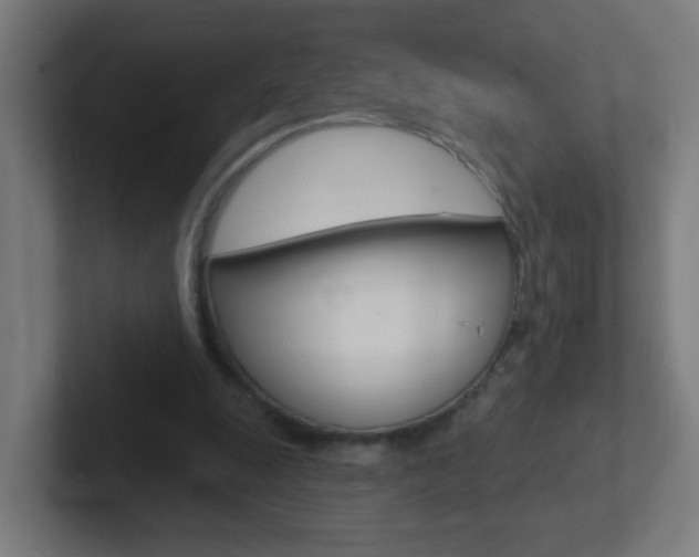 X0000102410247200808011022