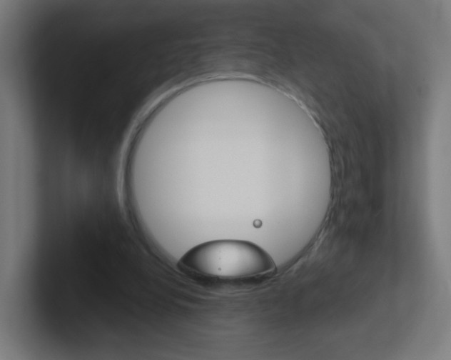X0000102410248200808011022