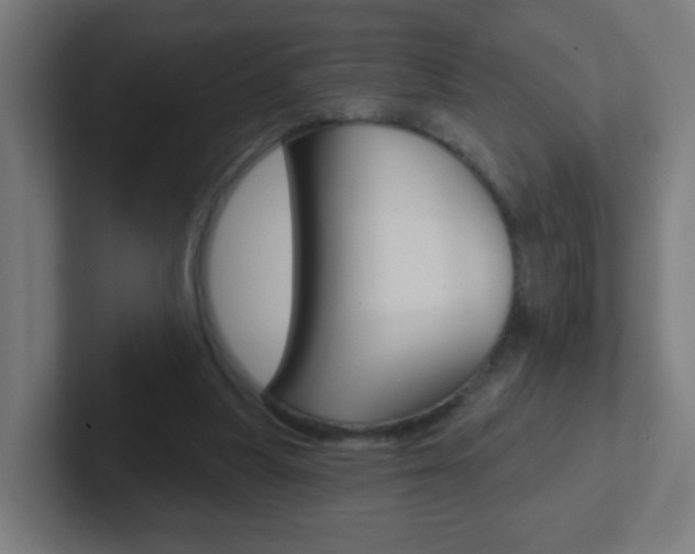 X0000102410251200808011022