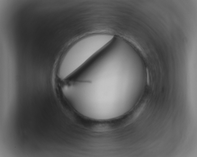 X0000102410252200808011022