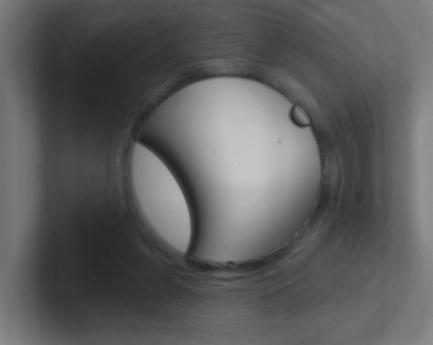 X0000102410255200808011022