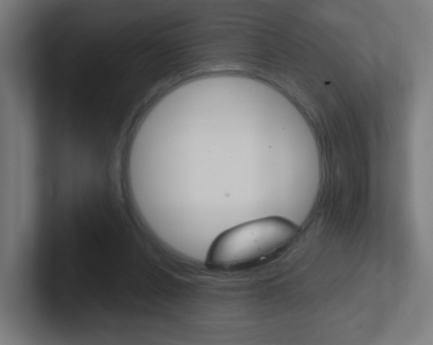 X0000102410256200808011022
