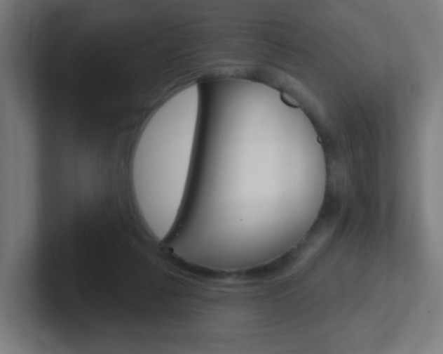 X0000102410259200808011022