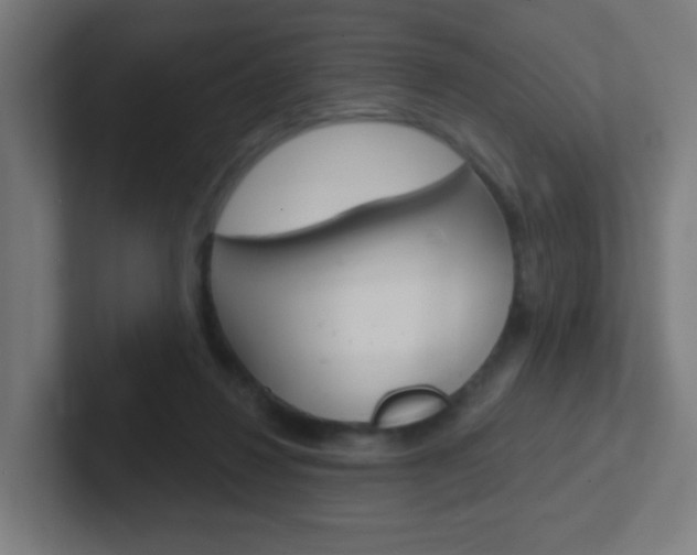 X0000102410260200808011022