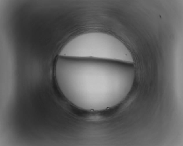 X0000102410262200808011022