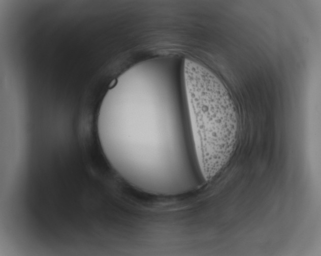 X0000102410263200808011022