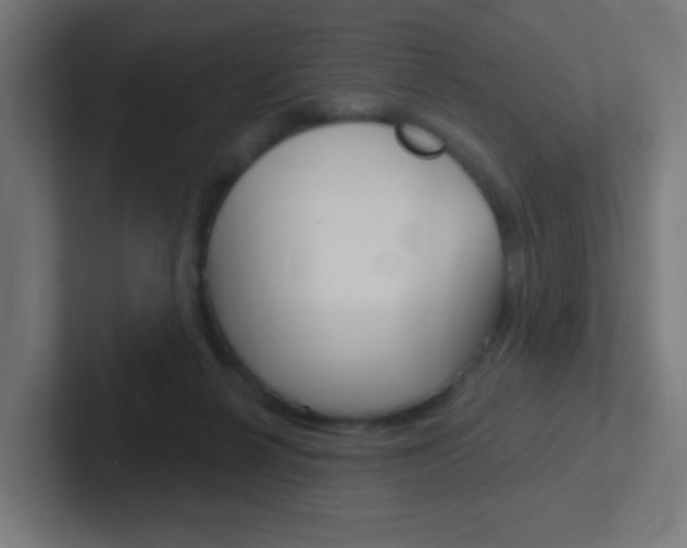 X0000102410264200808011022