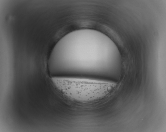 X0000102410265200808011022