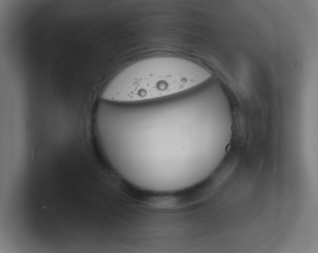 X0000102410266200808011022