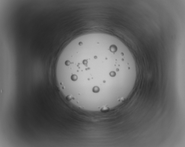 X0000102410268200808011022