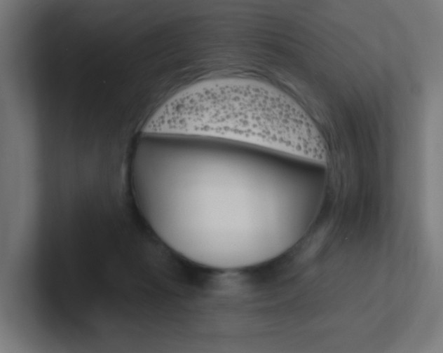 X0000102410269200808011022