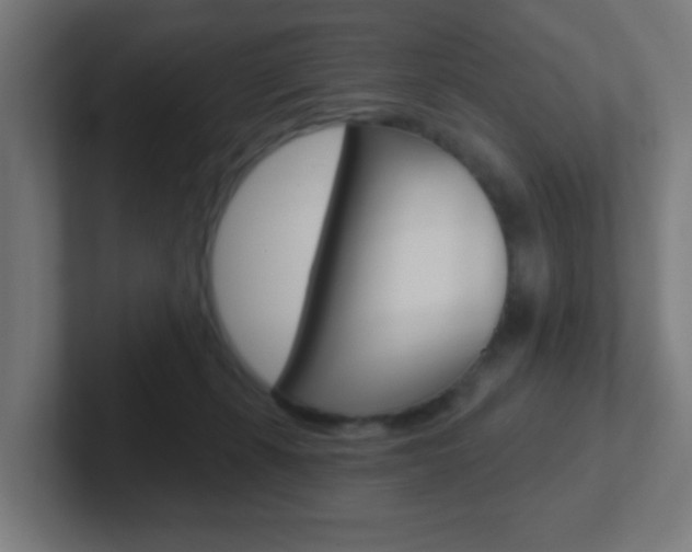 X0000102410271200808011022