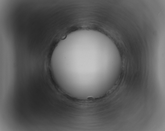 X0000102410272200808011022