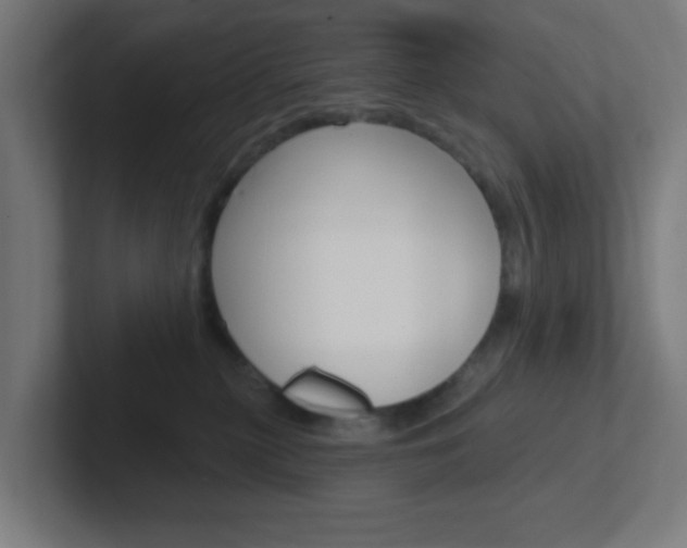 X0000102410279200808011022