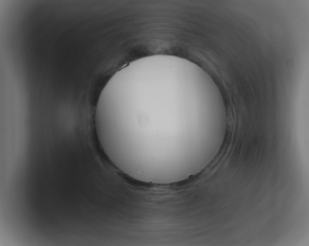 X0000102410280200808011022
