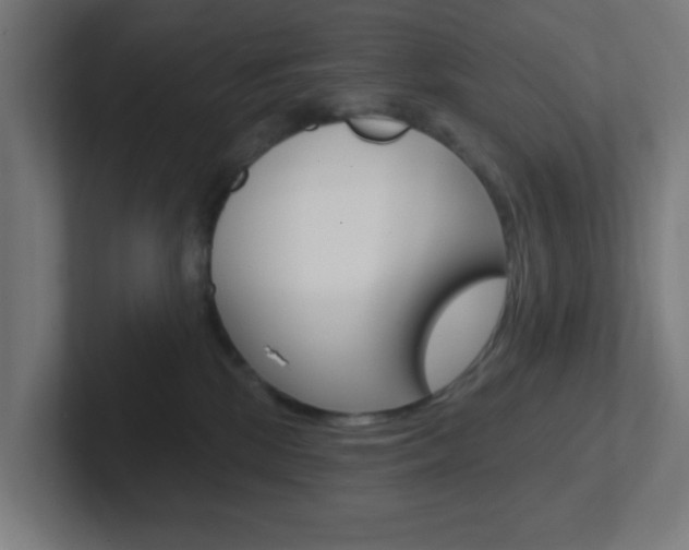 X0000102410281200808011022