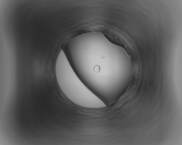 X0000102410284200808011022