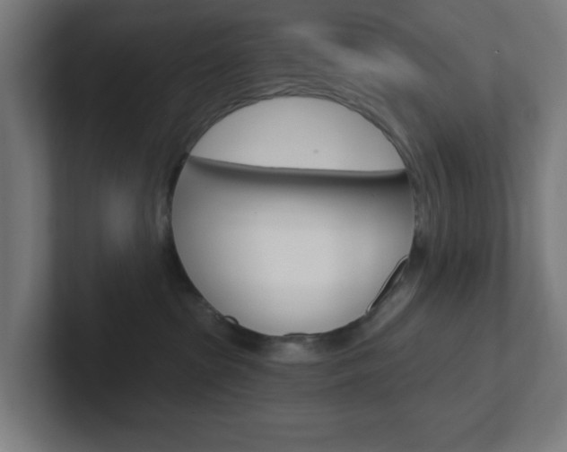 X0000102410285200808011022