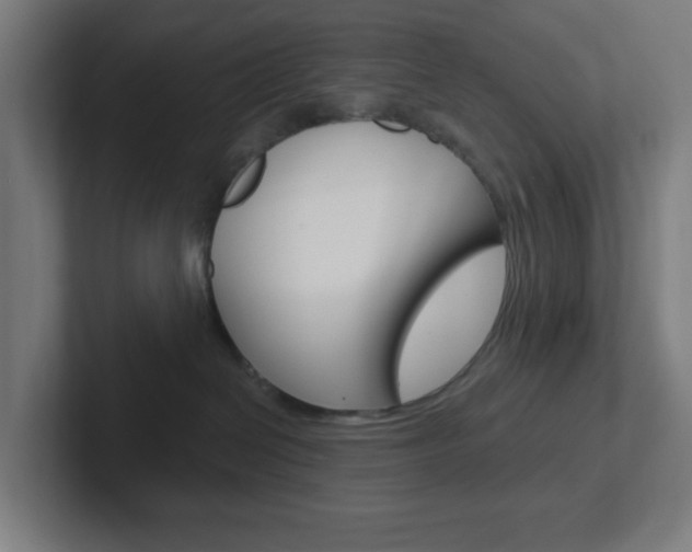 X0000102410286200808011022