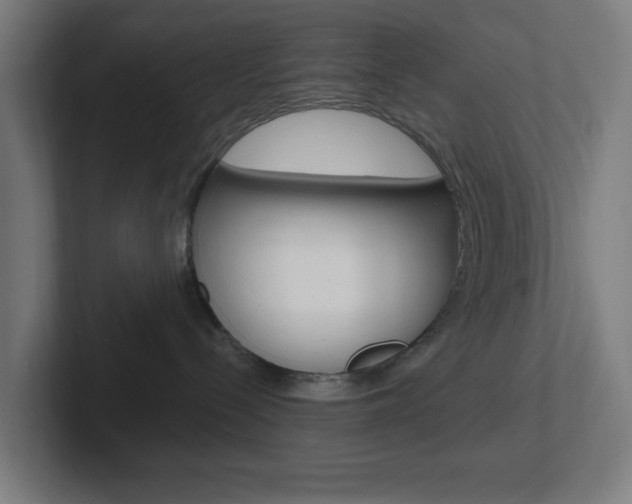 X0000102410288200808011022