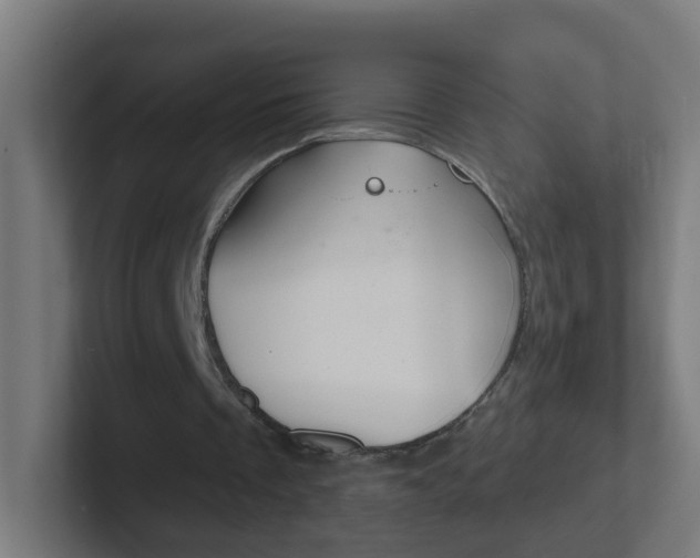X0000102410289200808011022